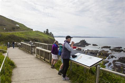 Where to See the Eclipse on the Oregon Coast - Oregon Coast Visitors Association