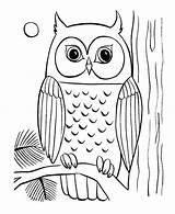 Coloring Pages Of Owls – ColoringMecom sketch template