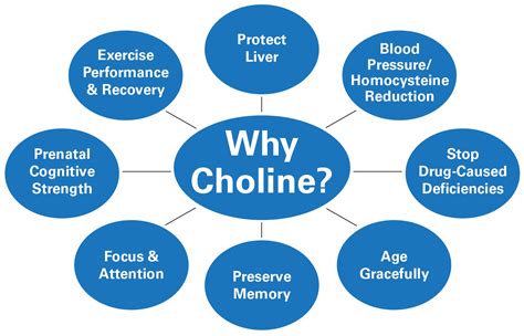 Choline the Forgotten Essential Nutrient is much more abundant in a Meat Based Diet | Zero Carb ...