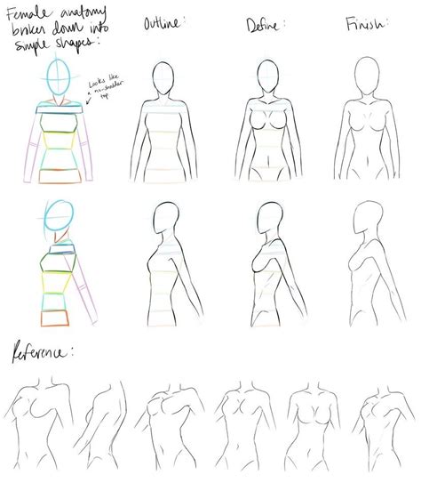 Anime Female Anatomy Female Anatomy Reference Devianttear On Deviantart ...