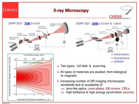 PPT - ERL & Coherent X-ray Applications PowerPoint Presentation - ID:39921