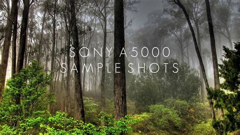 Sony a5000 Sample Shots | Going Vegan - YouTube