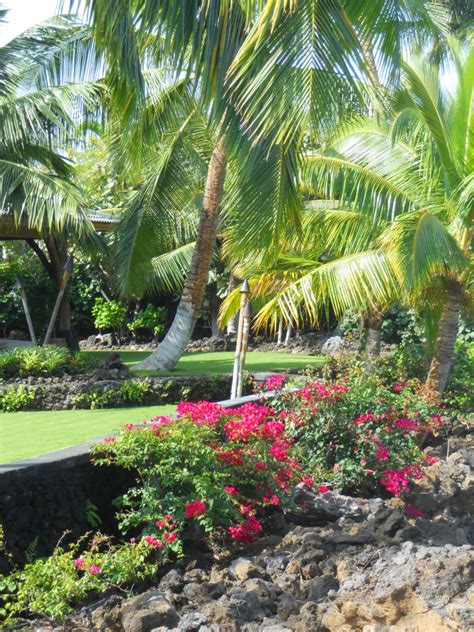 Hawaii Island Landscaping - Tropical - Landscape - Hawaii - by Loriann ...