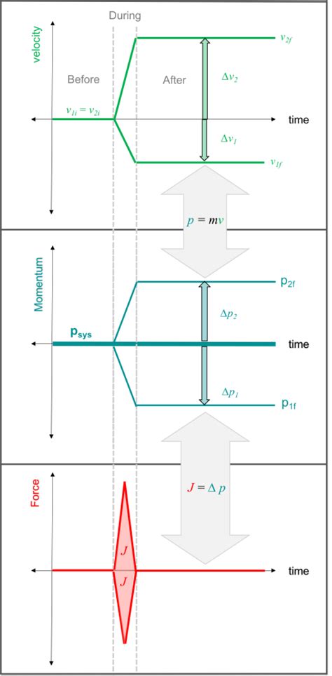 Momentum Stacked Graphs – Teach. Brian. Teach.