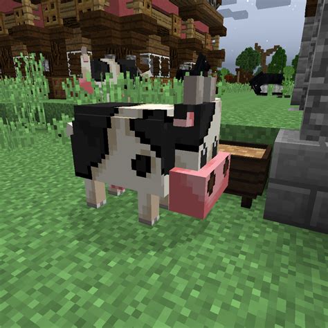 Cow | Farming Valley Wiki | FANDOM powered by Wikia