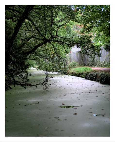 A Walk Along Neath Canal – OneCameraOneLens.Com