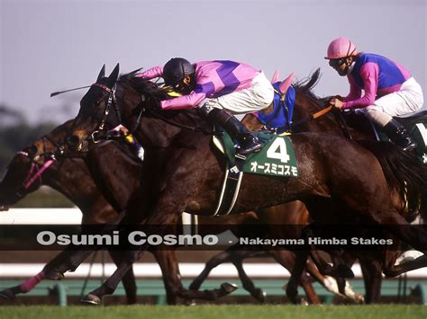 Japanese Horse Racing.. - XciteFun.net