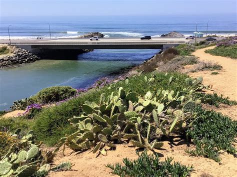 Hubbs Trail Tour at Agua Hedionda Lagoon – San Diego Beach Secrets