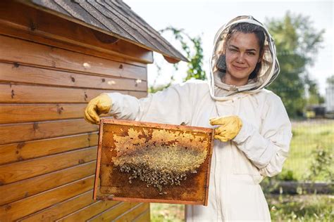 How to Become a Beekeeper: What Beginners Need to Know