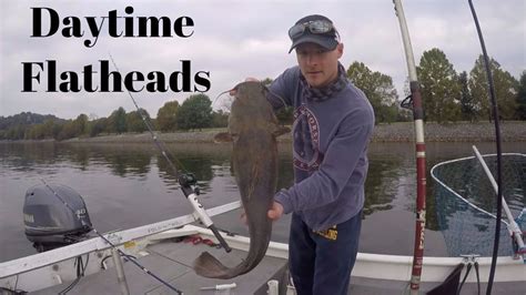 Catching Flathead Catfish on FRESH Bait During The Day - YouTube