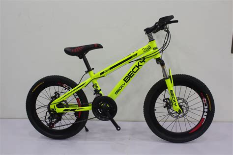 20 Inch Carbon Steel Mountain Bike (MTB) Be-009 - China Mountain Bike and Mountain Bicycle