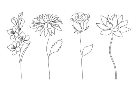 Flowers Outline Drawings