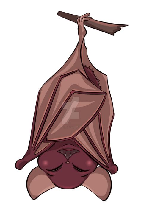 bat sleeping upside down clipart 10 free Cliparts | Download images on ...