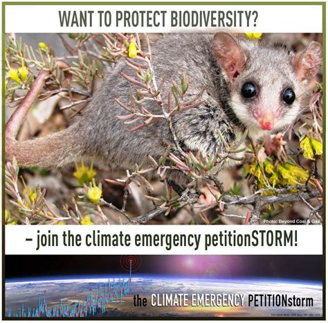 FB-meme biodiversity 2 – Climate Emergency Declaration