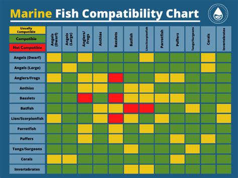 Aquarium compatibility chart for freshwater and saltwater fish - Aquarium Tips