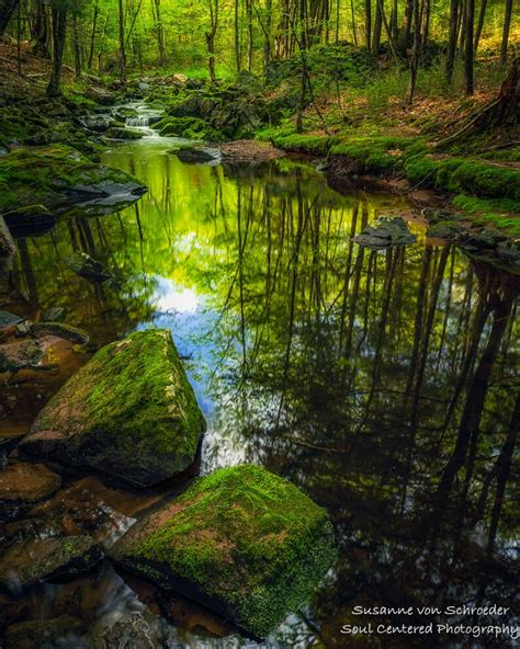 Nature Photography, Magical Woodland Scene, Summer, Creek, Fine Art Print, Enchanted Forest ...