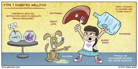 The Most Entertaining Way To Study: Type 1 Diabetes Mellitus | Faculty of Medicine