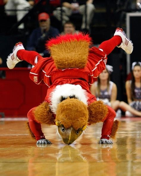 wonderfull to see | College basketball, Mascot, University of utah