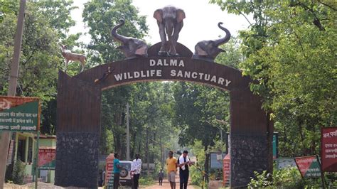 DALMA WILDLIFE SANCTUARY JAMSHEDPUR JHARKHAND - YouTube