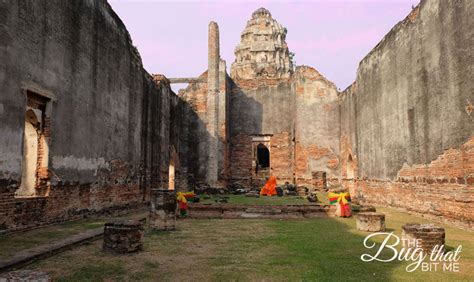 Lopburi ruins - The Bug That Bit Me