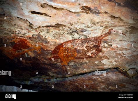 Rock Art Kakadu National Park Stock Photo - Alamy