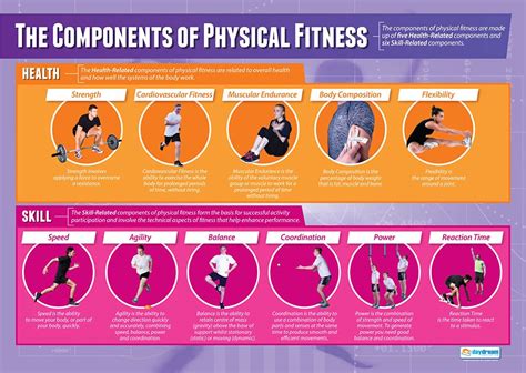 Components of Physical Fitness | PE Posters | Laminated Gloss Paper measuring 33” x 23.5 ...