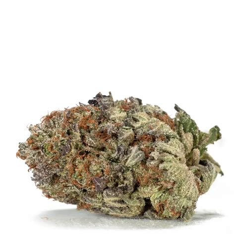 Pink Gas - A Potent Marijuana Strain by Weed Deals