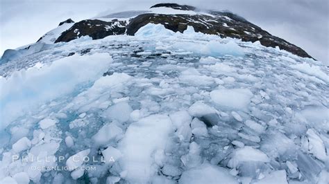 Brash ice and pack ice in Antarctica, Cierva Cove, Antarctic Peninsula