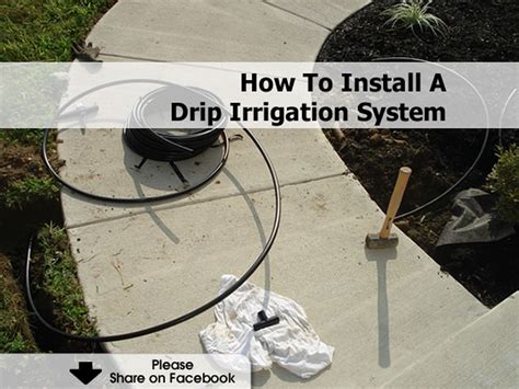 How To Install A Drip Irrigation System