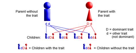 Autosomal Dominant: Marfan Syndrome - Stanford Medicine Children's Health