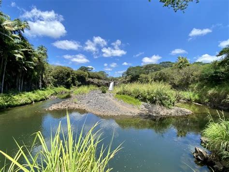 WAILUKU RIVER STATE PARK - Updated December 2024 - 60 Photos & 12 ...