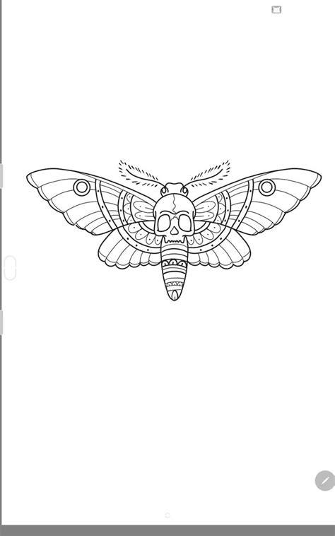 a drawing of a moth on a white background