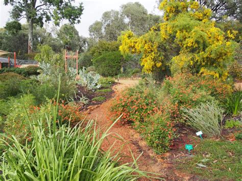 The New Australian Garden - Zanthorrea Nursery Perth