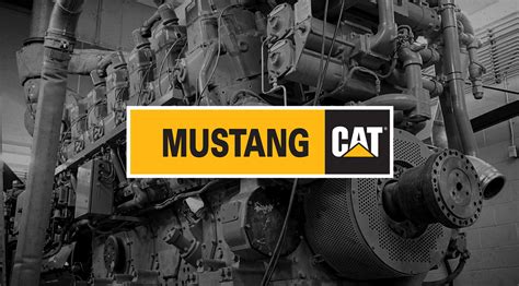 Campaigns for Construction Equipment Company | Mustang Cat