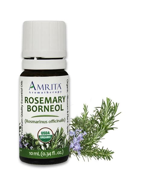 Amazon.com: Amrita Aromatherapy Organic Rosemary Borneol Essential Oil, 100% Pure Undiluted ...