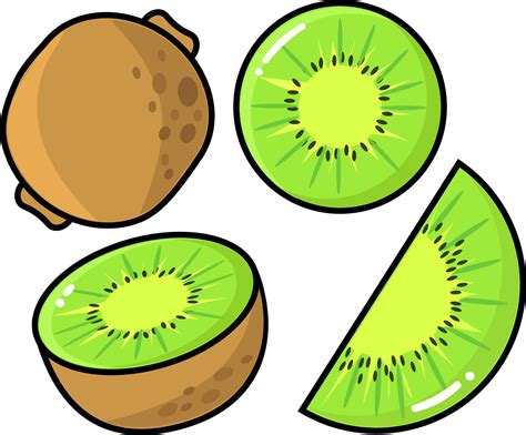 kiwi set icon vector graphic illustration, fresh kiwi, slice, one and a half slice in white ...