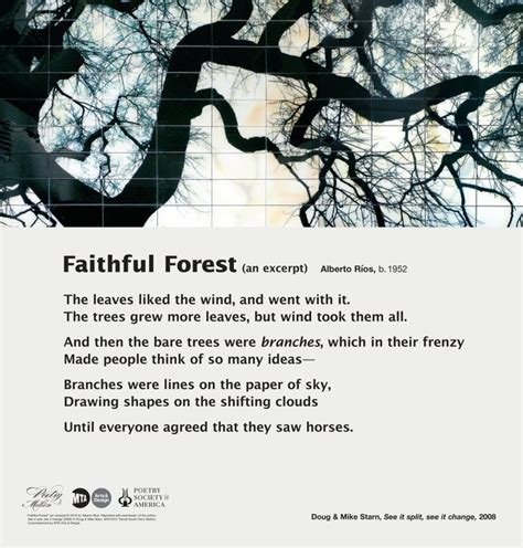 Faithful Forest