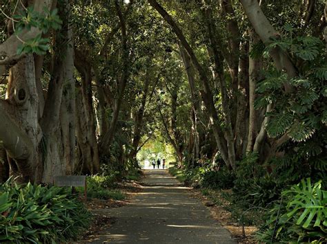 Adelaide Botanic Garden - Adelaide, Attraction | South Australia