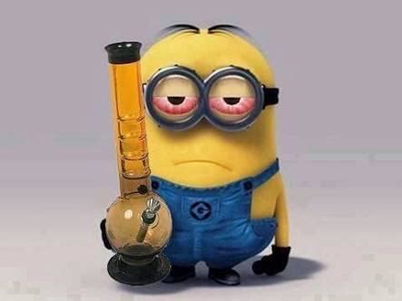 Funny bongs : r/Bongs