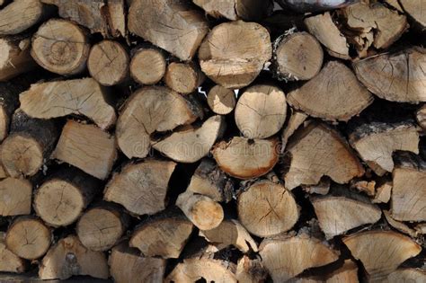 Firewood Logs 15 stock image. Image of woodpile, winter - 38933819