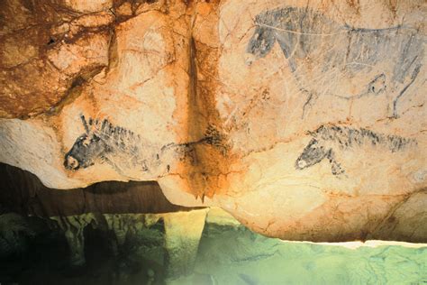 Cosquer, the prehistoric cave under the sea - Official website