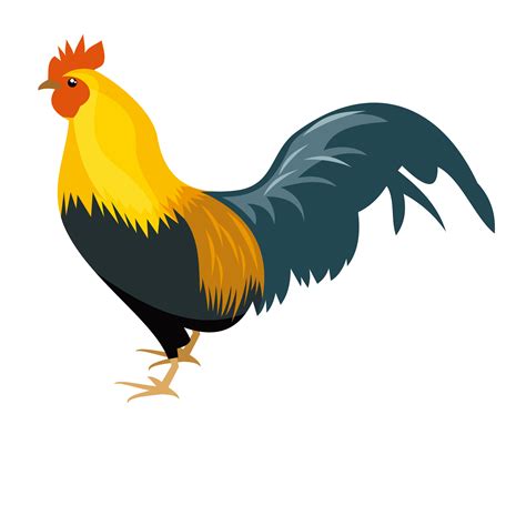 Clipart chicken real chicken, Clipart chicken real chicken Transparent ...