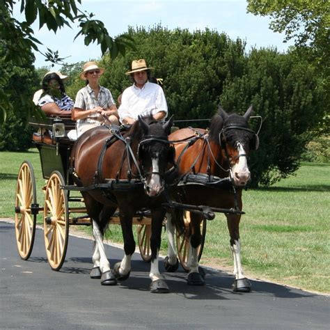 Free Images : vintage, cart, transportation, transport, romantic, horses, luxury, carriage ...