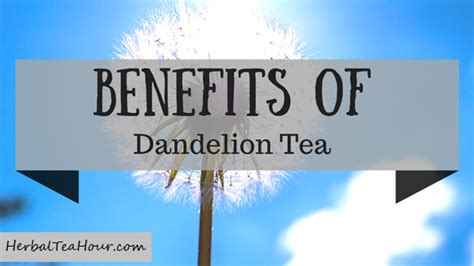 Dandelion Tea Benefits: The TOP 10 Reasons to Drink Dandelion Tea Now