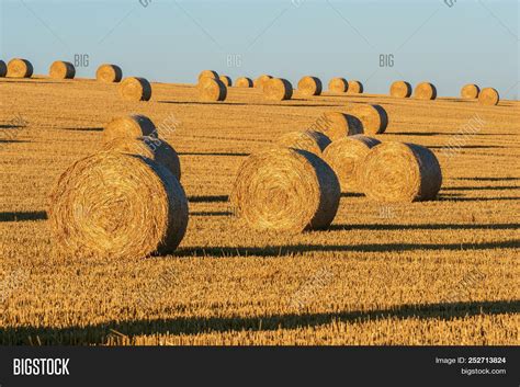 Hay Bales On Field Image & Photo (Free Trial) | Bigstock