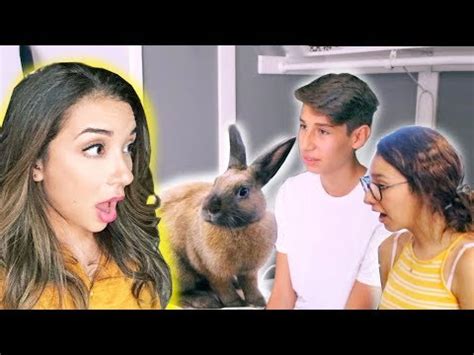 HOUSE RABBIT MAKEOVER | EPISODE 2 - YouTube