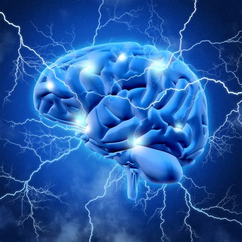 Neurociencia; el sistema nervioso - Blog TECH Universidad Tecnológica