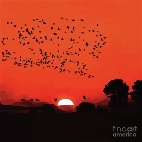 Sunset birds flying 03 Painting by Gull G - Pixels