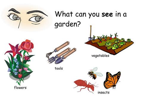 What's in My Garden: Five senses in the garden | ESL For Kids