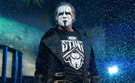 AEW: Sting aiuterà la federazione a elevare un membro del roster a Top ...